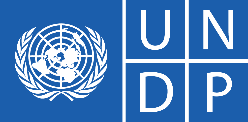 UNDP logo